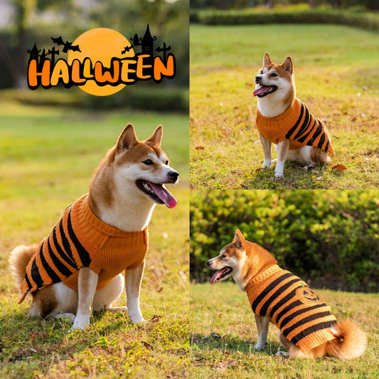 Halloween Pumpkin Pet Sweater