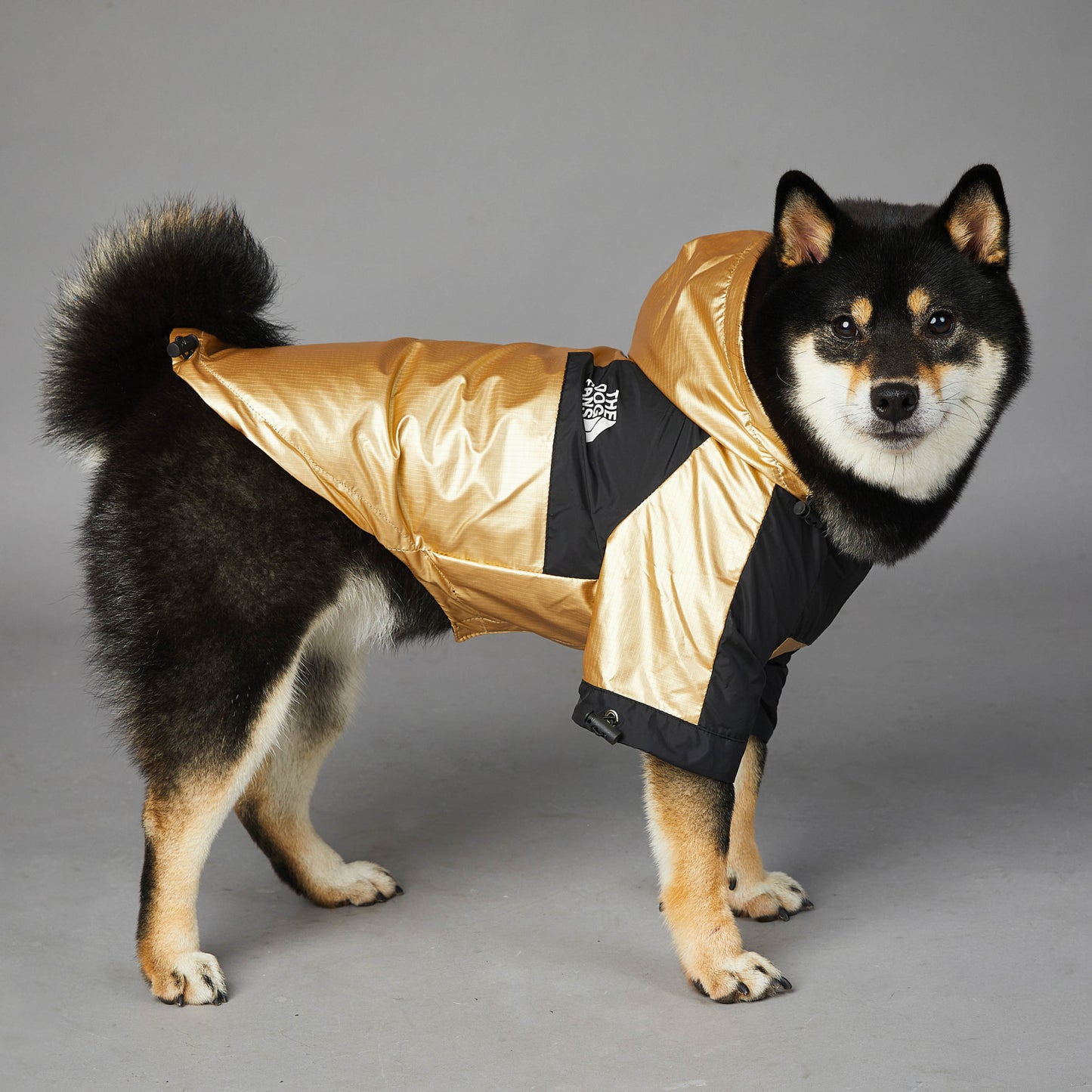 Pet Raincoat with Hoodie