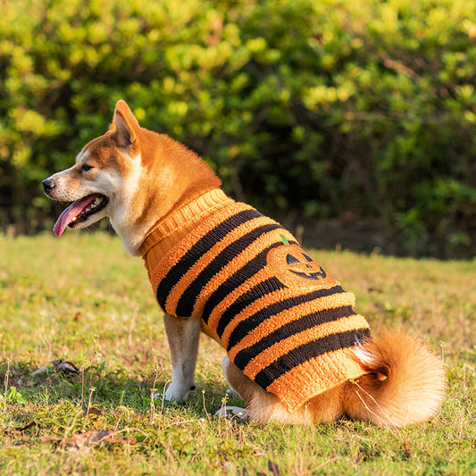 Halloween Pumpkin Pet Sweater