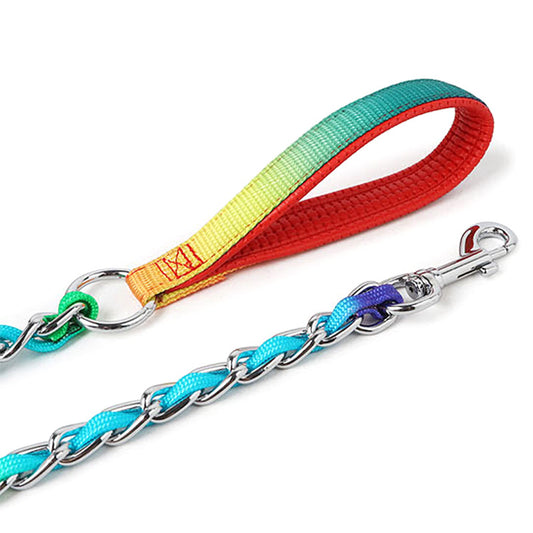 Rainbow Dog Leash and Collar