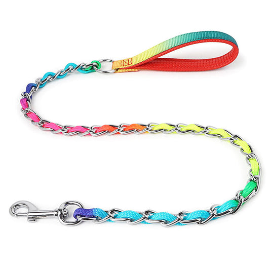 Rainbow Dog Leash and Collar
