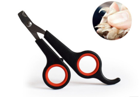 Basic Pet Nail Scissors