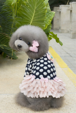 Pet Princess Style Polka Dot Dress
