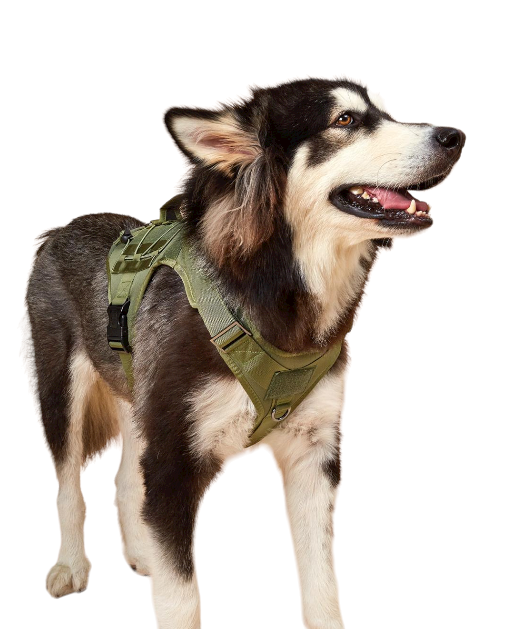 Military Style Dog Harness