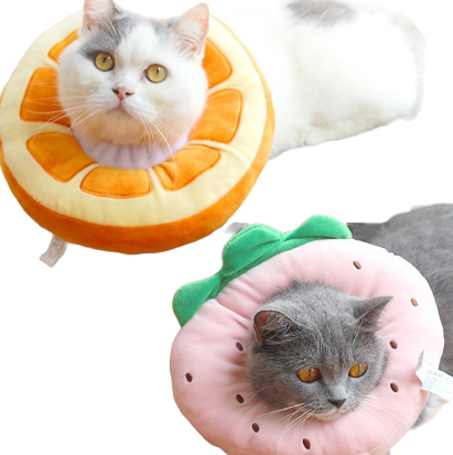 Fruit Soft Cushioned Recovery Collar